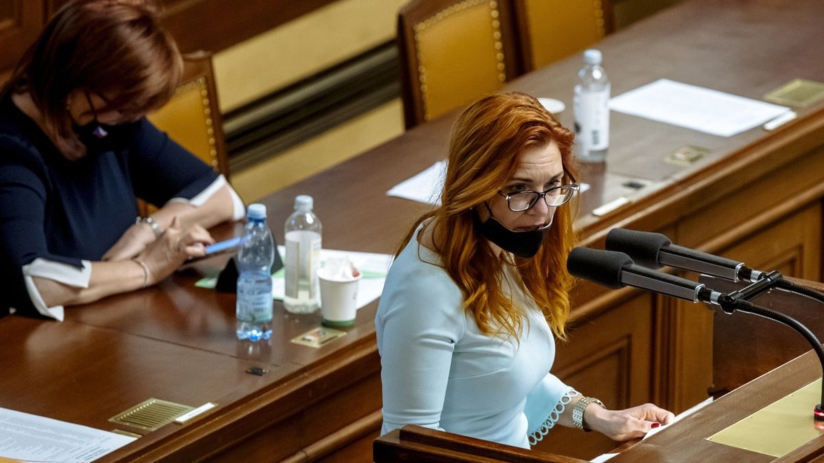 Trikolóru nadále povede Majerová Zahradníková, funkci obhájila na sněmu